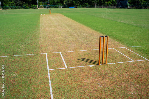 Принти на полотні The whole 22 yards - cricket pitch