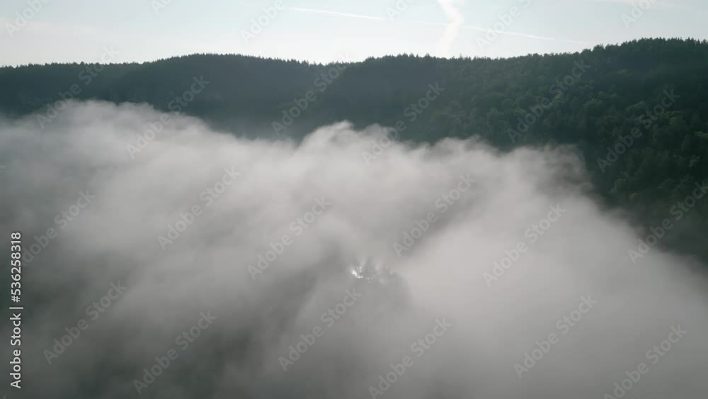Fog above pine forests. Misty morning view in wet mountain area. Detail of dense pine forest in morning mist. Fog above pine forests. Misty morning view in wet mountain area. Detail of dense pine forest in morning mist.