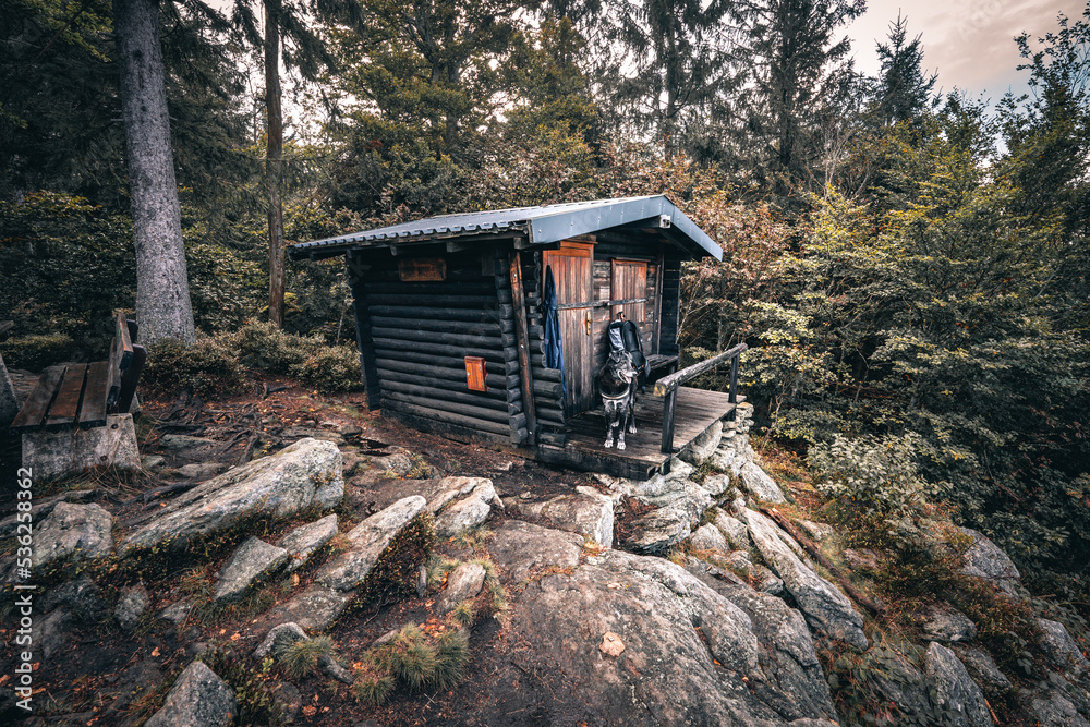 Der Bayerische Wald zum Herbstanfang mit grünem Wald und Bäumen. Bayern Deutschland