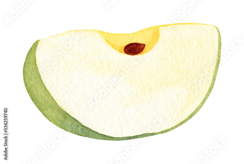 Green apple slice hand drawn in watercolor