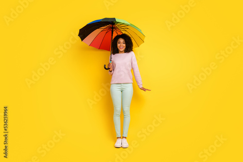 Full size photo of young cheerful lady hold parasol walk weather rainy isolated over yellow color background
