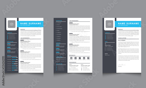 Clean Resume Template with Cover Letter, Cv professional job resumes