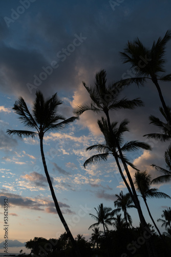 Sunset over palms at Anaehoomalu Bay -1