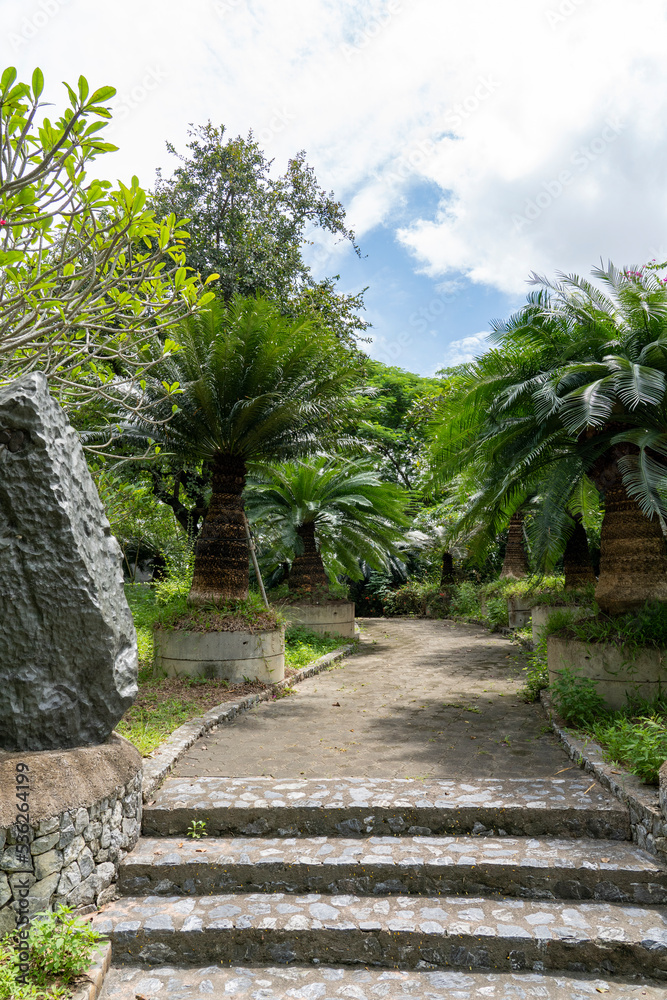 Beautiful curved path in the garden among palm trees and stones. Blue sky with big white clouds.