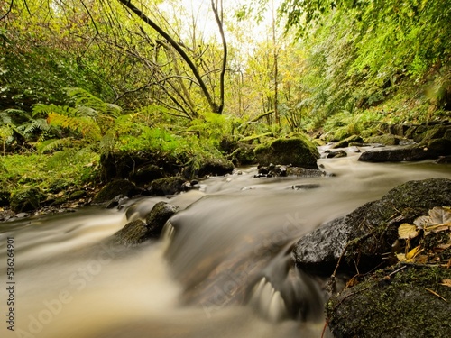 The stream at Wyming Brook near Sheffield. photo