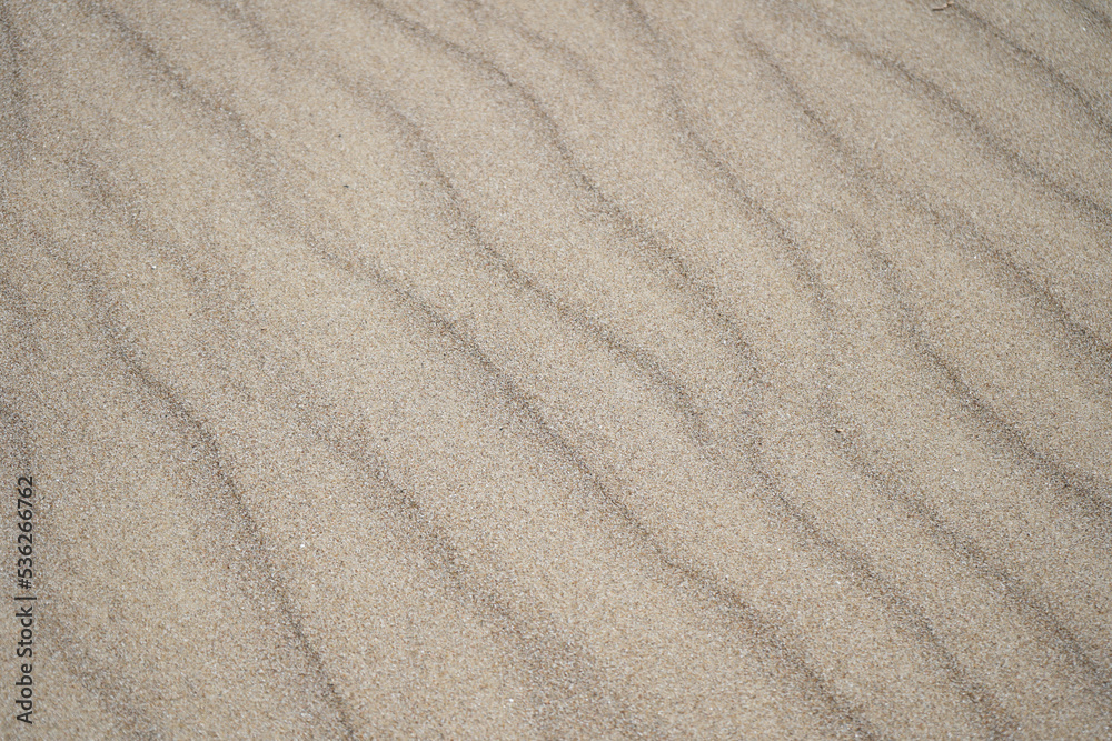 Sand texture. Sandy beach for background. Top view Sand texture. Sandy beach for background. Top view