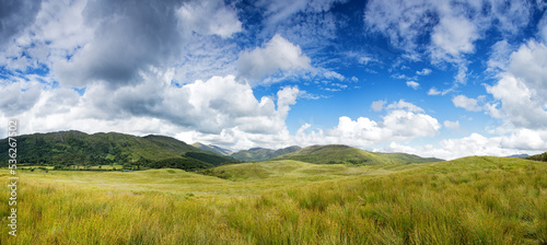 Fototapeta Naklejka Na Ścianę i Meble -  Panorama of the Scottish Highlands with button grass in the foreground and the rolling mountains with a summer sky behind