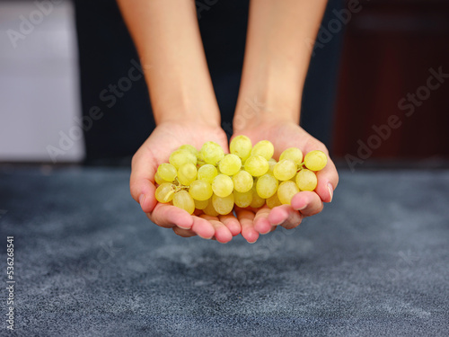 Vineyard Harvest in autumn season. Crop and juice, Organic green grapes on table viewed from above, concept wine. Woman holding grapes