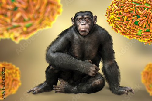 Fotografija Chimpanzee monkey surrounded by monkeypox viruses, conceptual 3D illustration