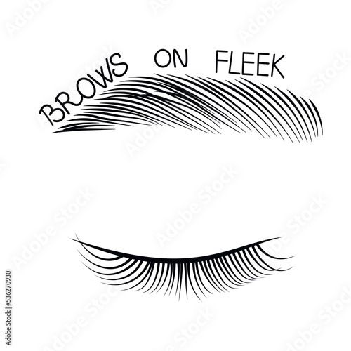 Brows On Fleek. Hand drawn lettering. Vector stock illustration. Isolated on a white background. Eyebrow Sticker