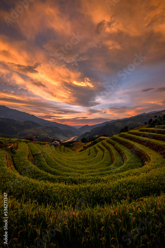 Beautiful scenery of rice terrace fields as U-shape at Mu Cang Chai in northern Vietnam with orange clouds on sky during sunset time. Vietnam landscapes.