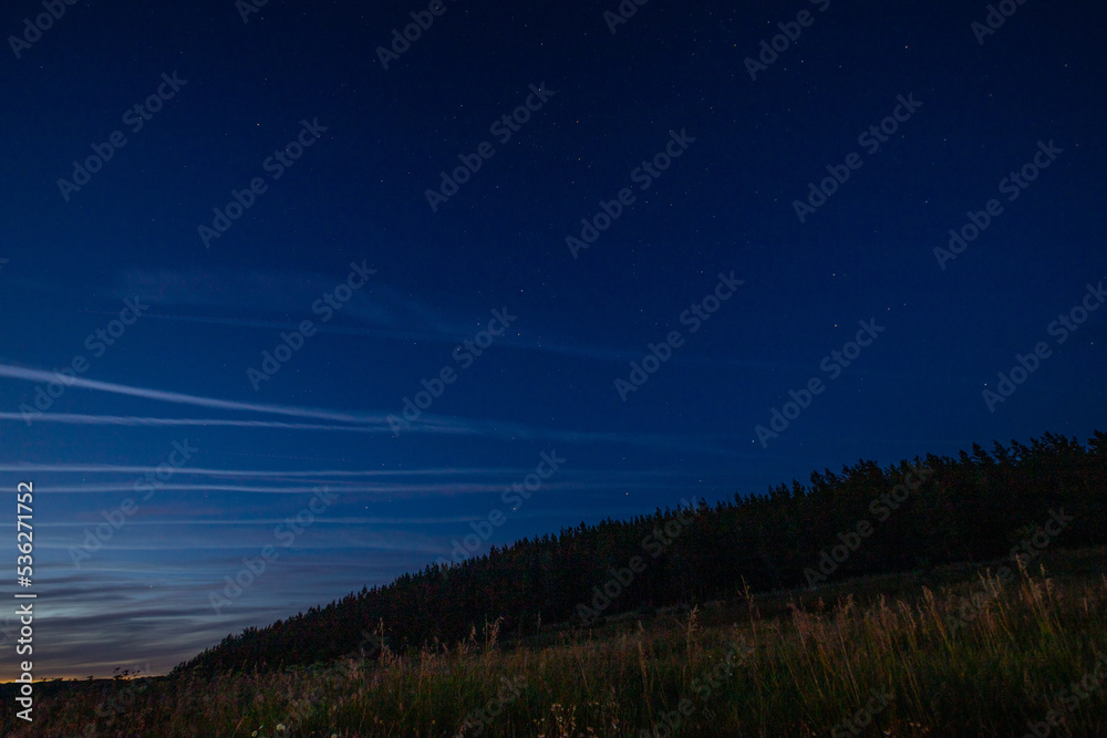 Fototapeta premium summer landscape in rural areas