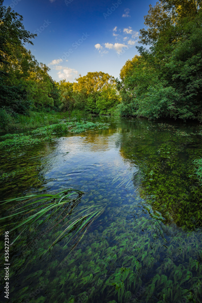 summer landscape in rural areas