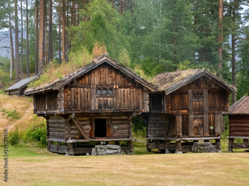 Traditional viking-era houses in the historical village of Eidsborg near Dalen  Tokke  Telemark  Norway.