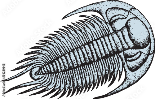 Trilobite
