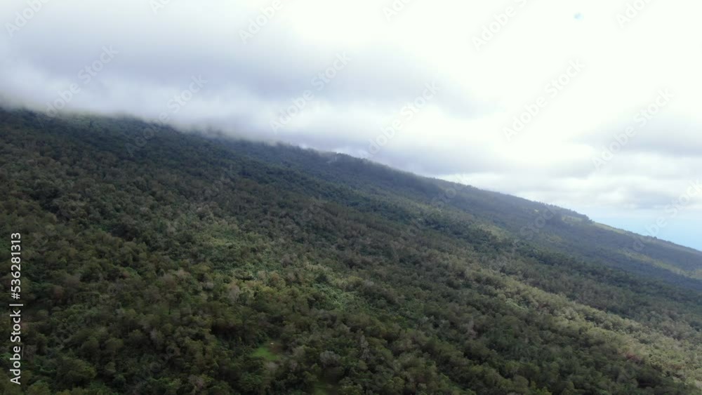 Aerial: Kula Forest Reserve in Maui up the slope of Haleakala, Hawaii, USA. Aerial: Kula Forest Reserve in Maui up the slope of Haleakala, Hawaii, USA.