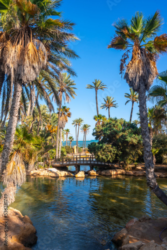 Lakes  ponds and wooden bridges in the El Palmeral park in the city of Alicante