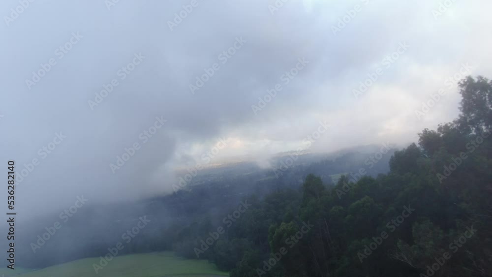 Aerial: Fog rolling through the forested mountain greenery of Polipoli State Park, Maui, USA. 