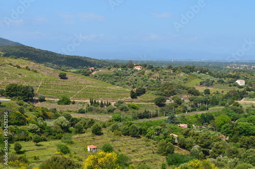 Collioure (Pyrénées Orientales - Occitanie - France)  photo