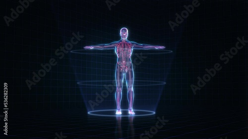 Hologram human, Hologram Man anatomy and skeleton.