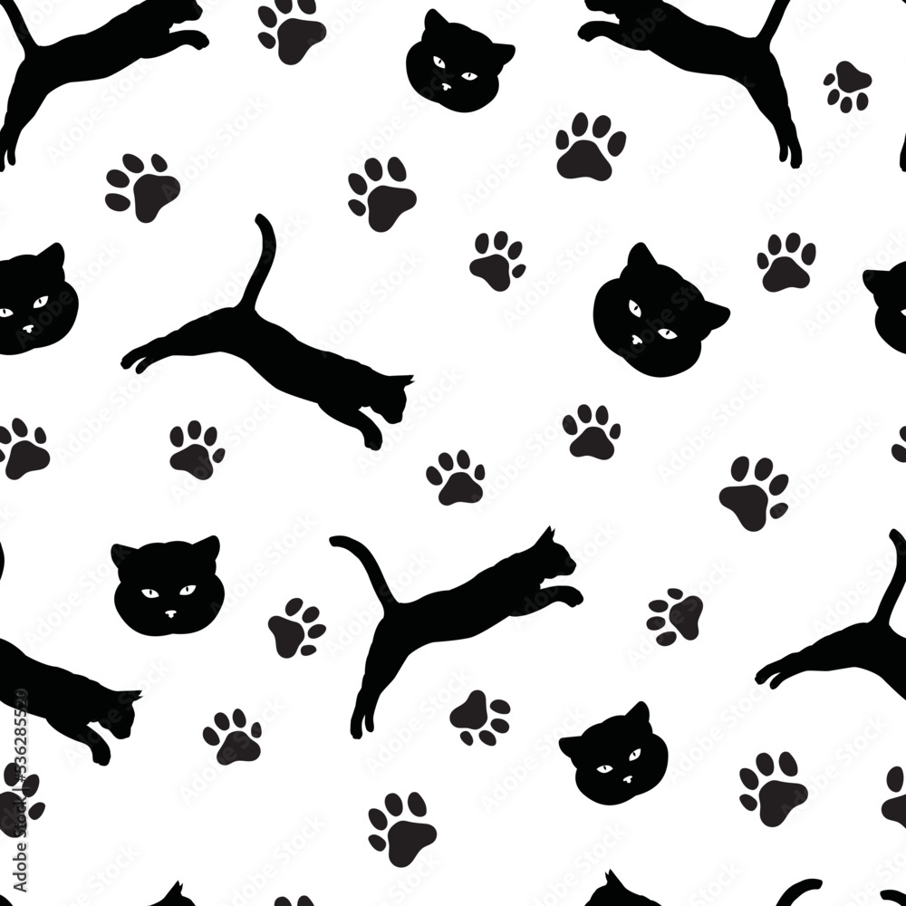 PATTERN OF CATS_3