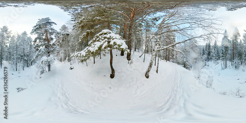 Wallpaper Mural 360 degree winter forest Torontodigital.ca