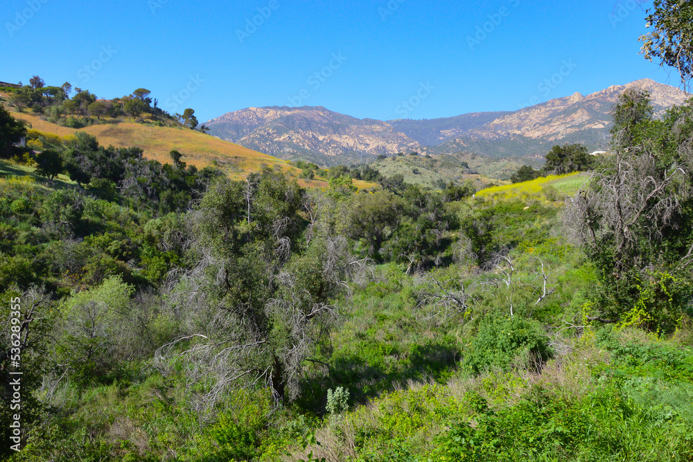 Jesusita Trail, San Roque Canyon, Santa Barbara Jesusita Trail, San Roque Canyon, Santa Barbara