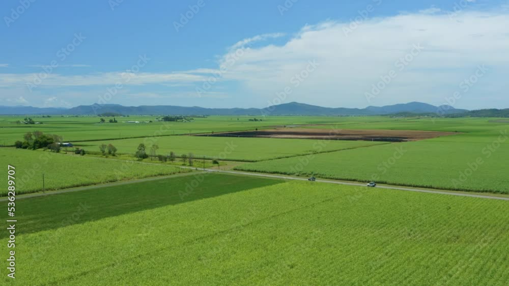 Aerial View Of Cars Driving On Rural Highway Through Green Cane Fields, 4K Drone Aerial View Of Cars Driving On Rural Highway Through Green Cane Fields, 4K Drone