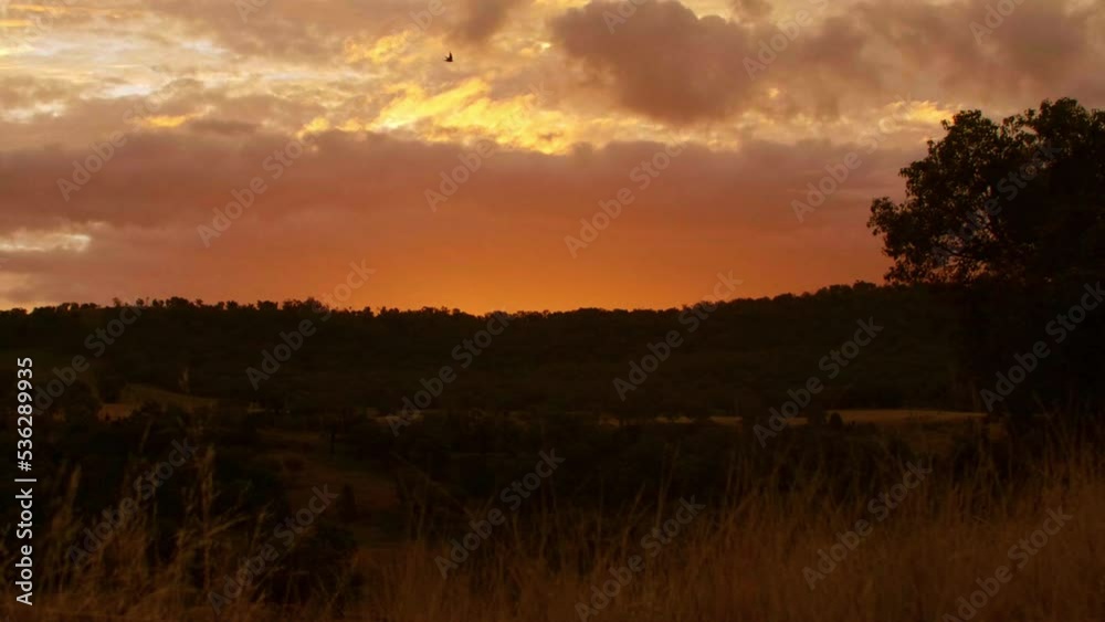 4K Timelapse Of Orange Cloudy Sunset Sky Over Green Trees In Rural Australia 4K Timelapse Of Orange Cloudy Sunset Sky Over Green Trees In Rural Australia