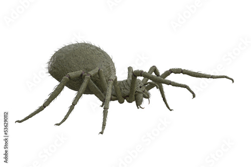 Giant fantasy monster spider in attack pose. 3D rendering viewed from side isolated.