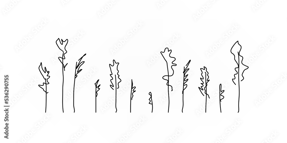Hand drawn leaves branches set illustration