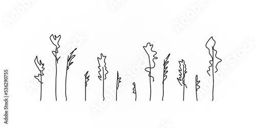 Hand drawn leaves branches set illustration