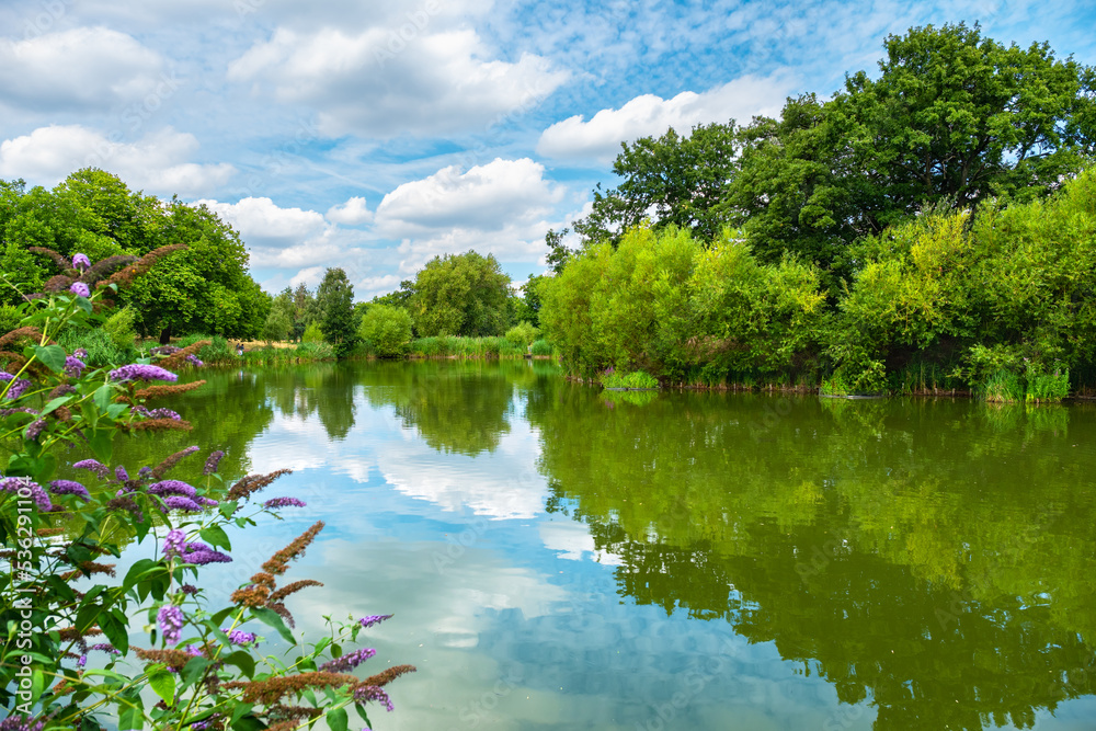 Mount Pond. London, England