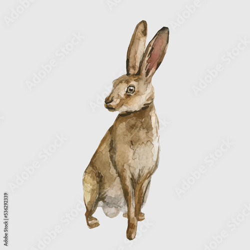 Beautiful vector stock illustration with hand drawn watercolor forest wild rabbit animal. Clip art image.
