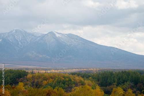 秋の森林と冠雪の山頂 