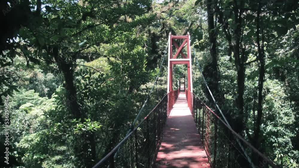 Walking over a red bridge in Monteverde Cloud Forest Reserve 1