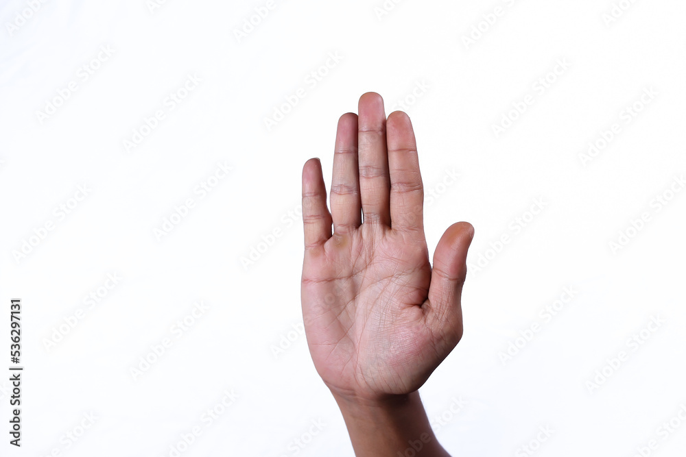 Human hand gesture isolated on white background Human hand gesture isolated on white background
