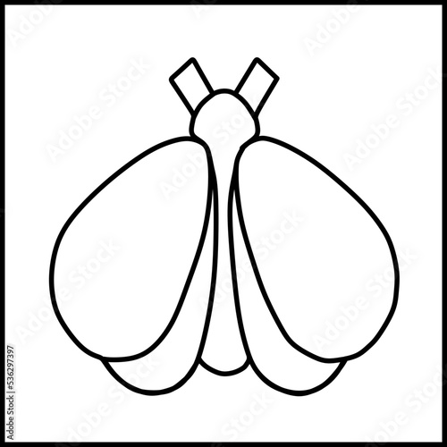 picture of an insect that is a butterfly