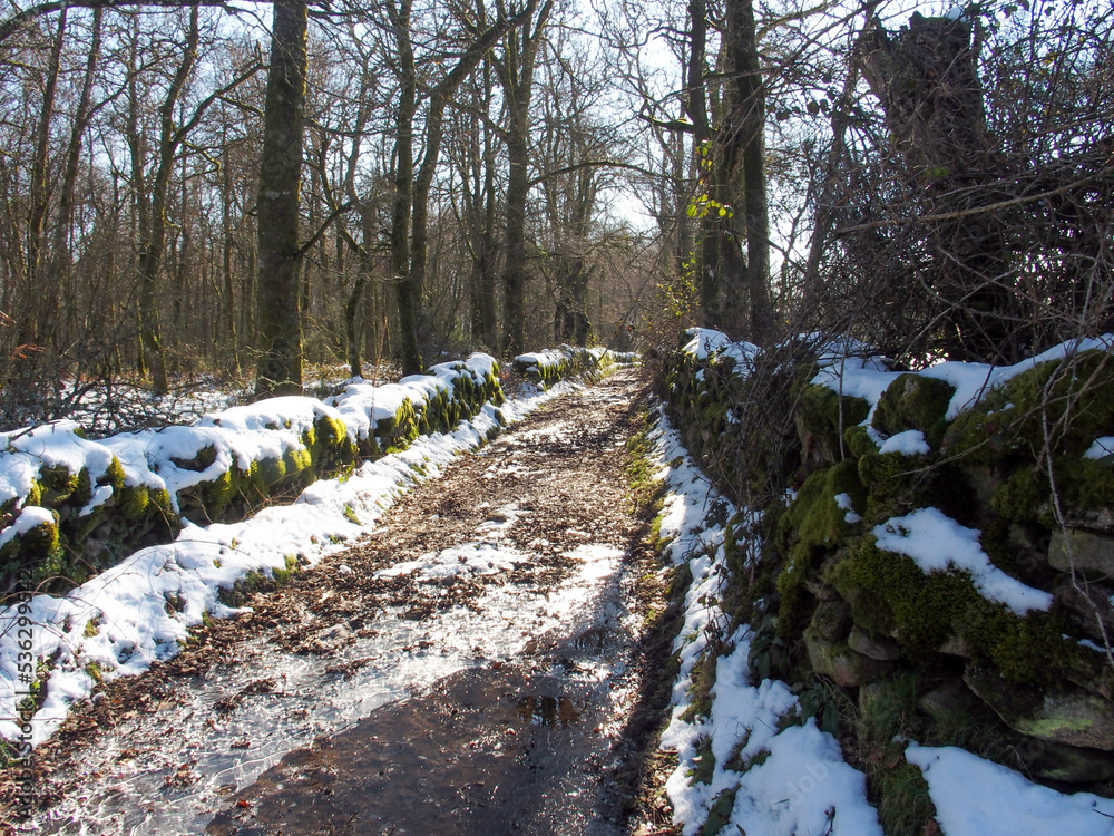 Fototapeta premium Camino de montaña con algo de nieve. Galicia