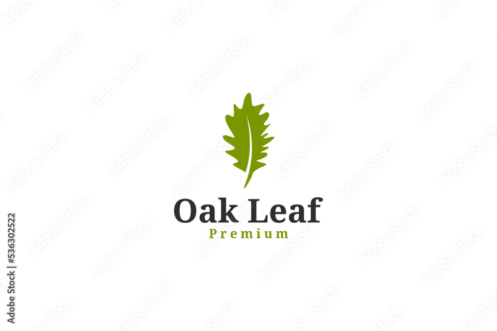 Obraz premium Oak leaf vector logo design isolated vector illustration