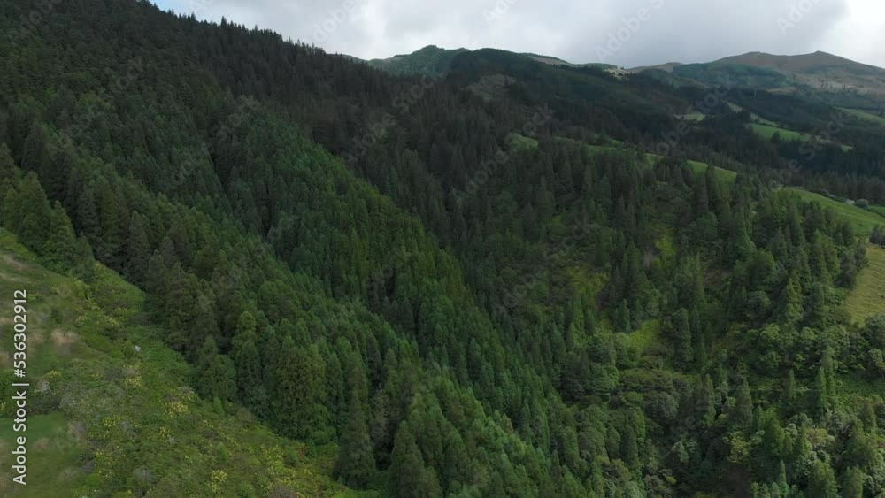 Flying Above Green Forest at Stunning Crater Massif in the Azores