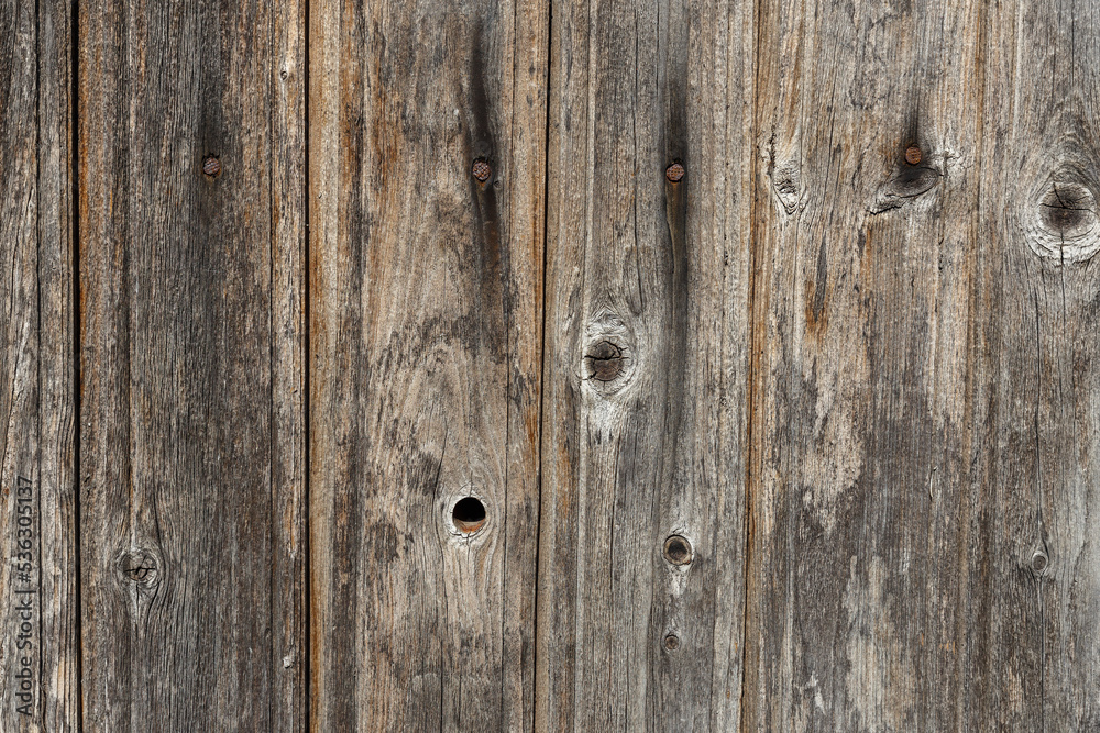 Wooden wall from old boards with knots and rusty nails, Wall panel, natural background vertical wood panel Wooden wall from old boards with knots and rusty nails, Wall panel, natural background vertical wood panel