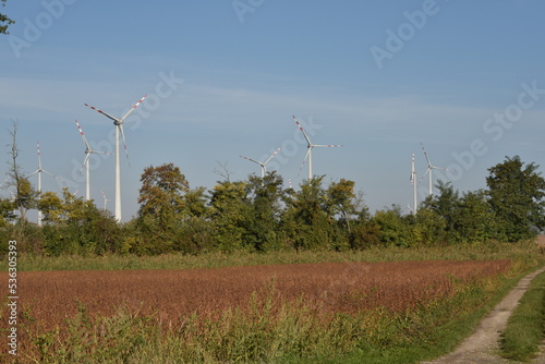 Windpark nächst Prellenkirchen in Niederösterreich, Österreich, 06.10.2022 photo