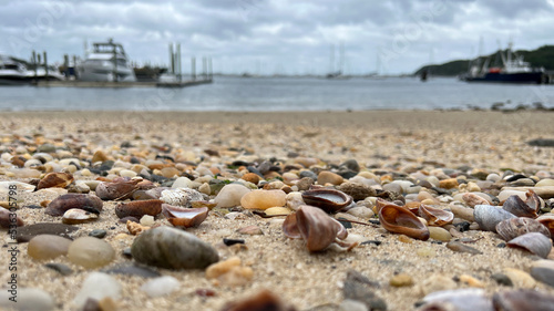 Close up of seashells and pebbles covering the beach at Port Jefferson, NY on Long Island Sound.