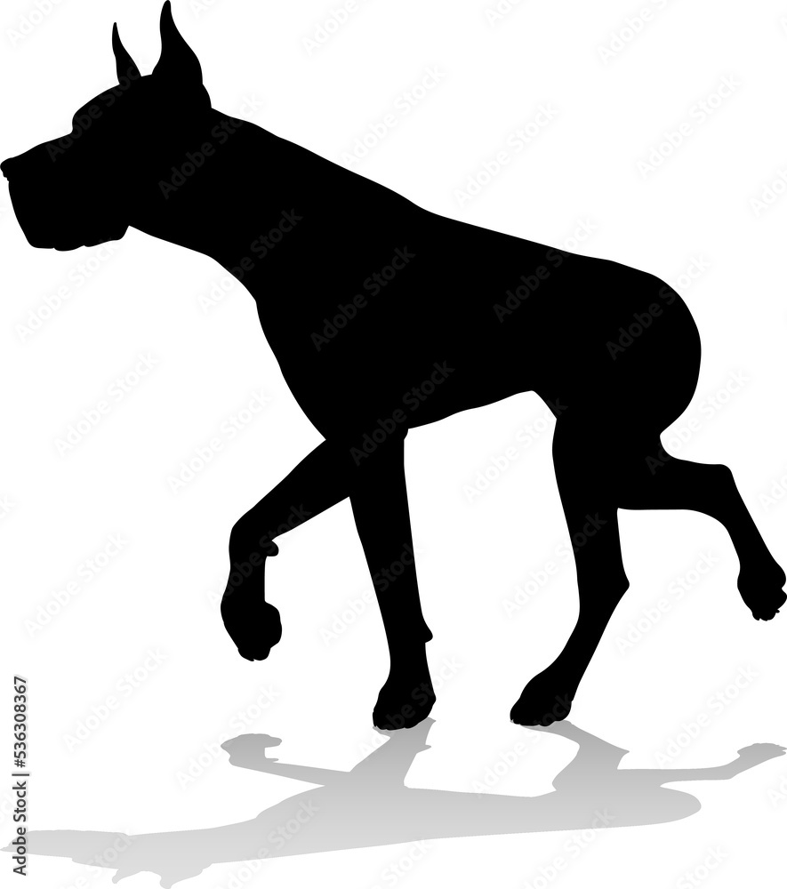Fototapeta premium Dog Silhouette Pet Animal