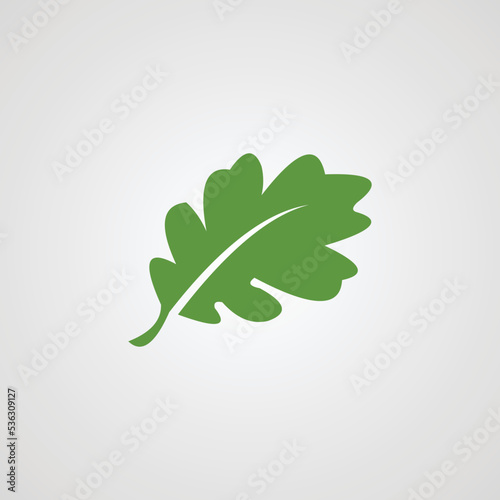 Eco icon green leaf isolated vector illustration.