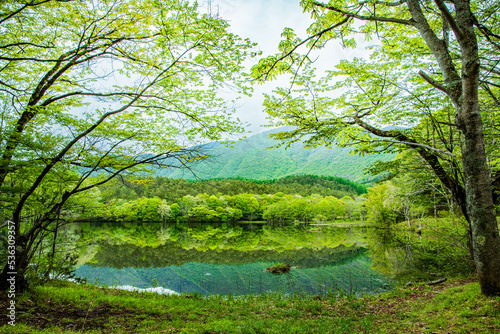 福島県下郷町　観音沼森林公園