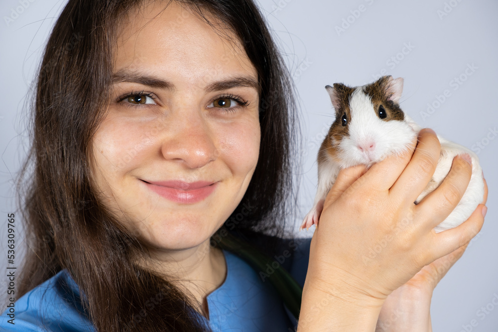 Veterinarian holds a small guinea pig in his hands and smiles close-up