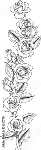 Roses Rose Flowers Design i...