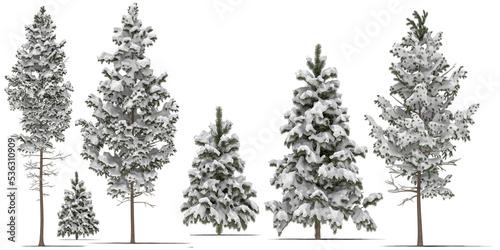 Εκτύπωση καμβά needle tree conifer pine tree winter snow 3